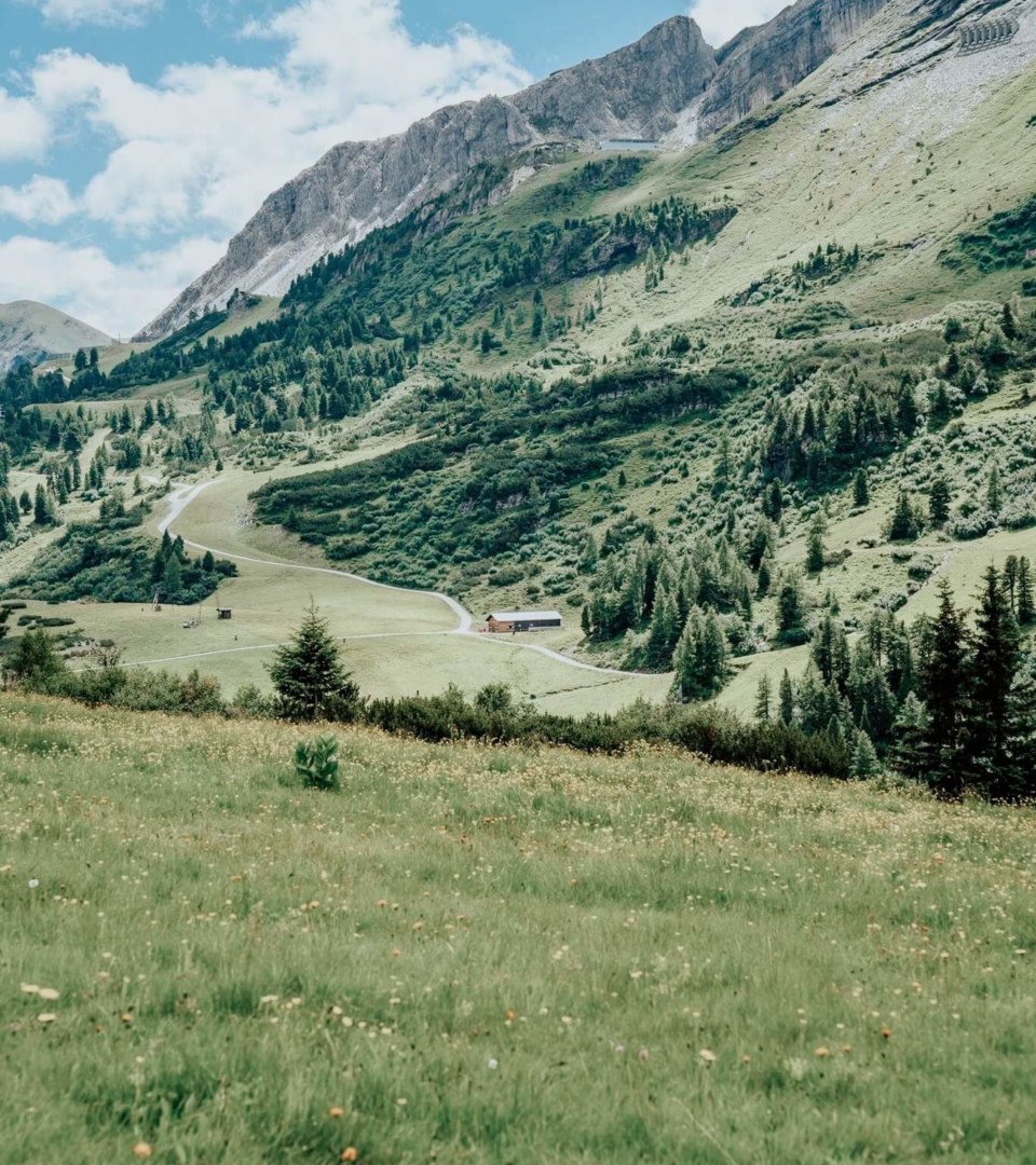 Hotel Schneider Brettsteinalm Landwirtschaft