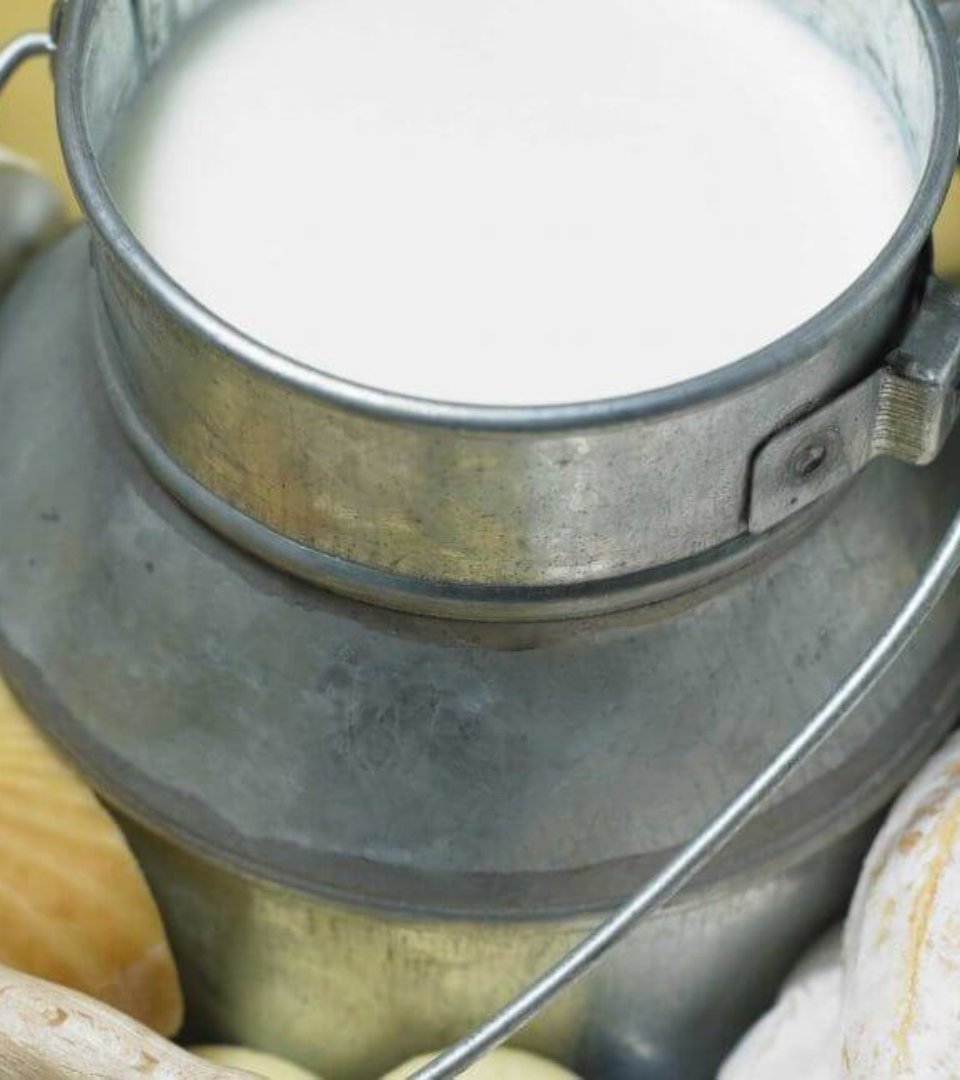 Hotel Schneider Nachhaltigkeit Milch